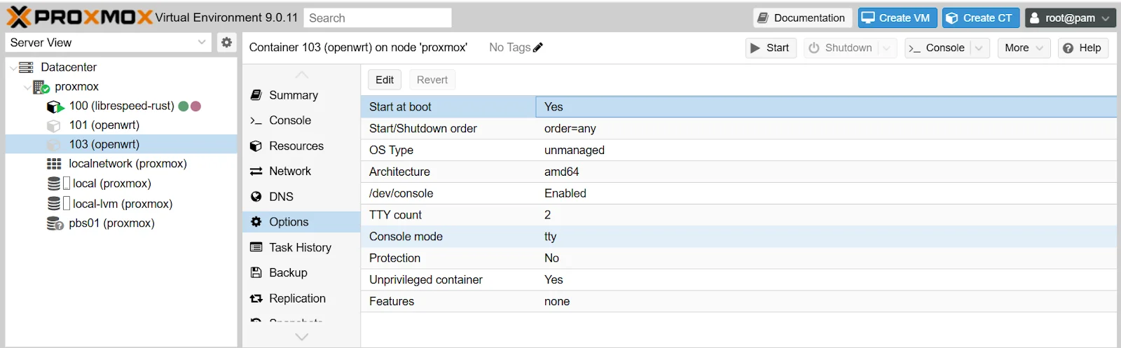 Proxmox container options showing Start at boot enabled