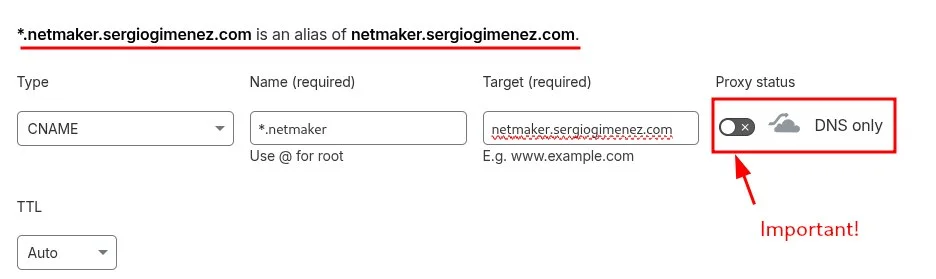 Cloudflare DNS panel showing the wildcard A record for Netmaker