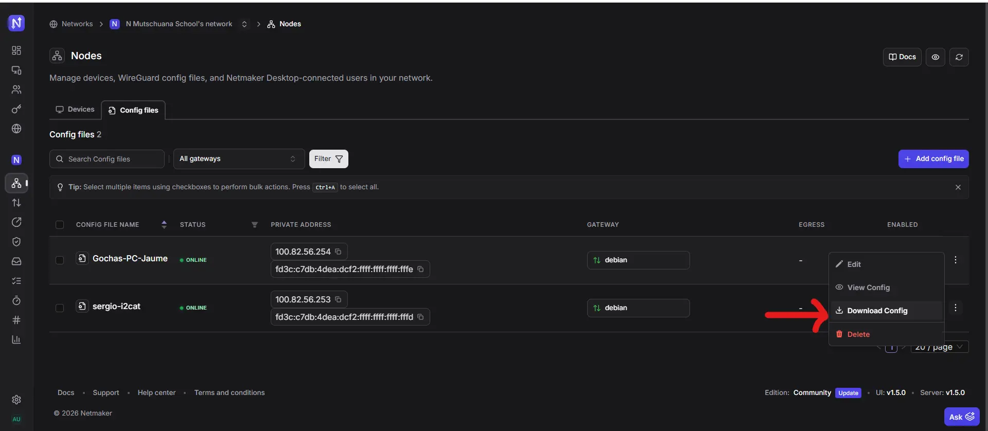 Netmaker showing the generated WireGuard config file download