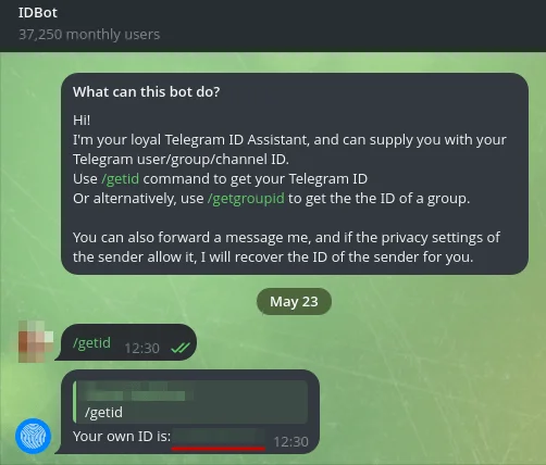 Personal chat ID from @myidbot